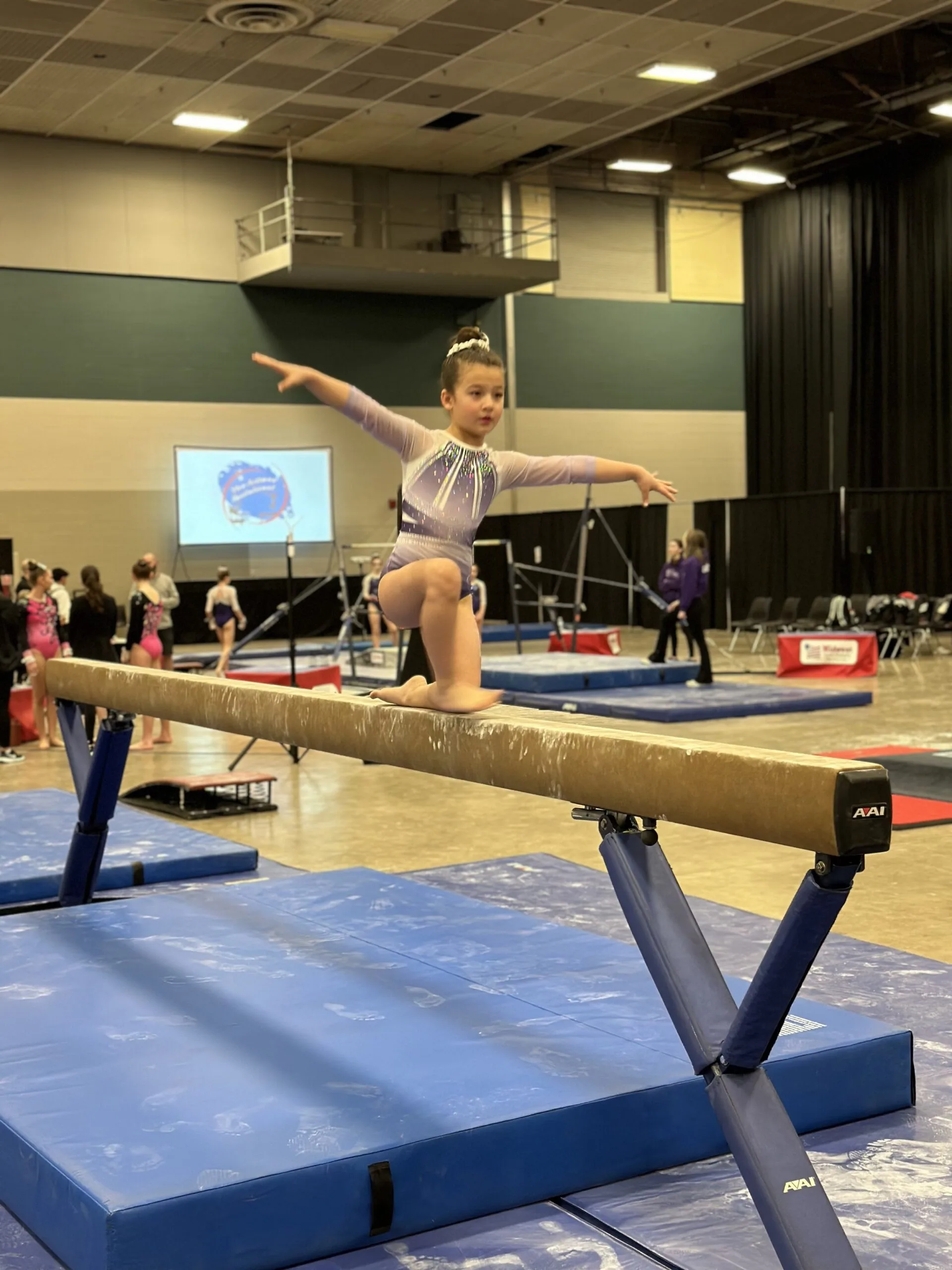 GSE Competition