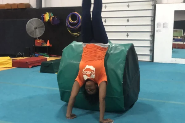 Adult Gymnastics